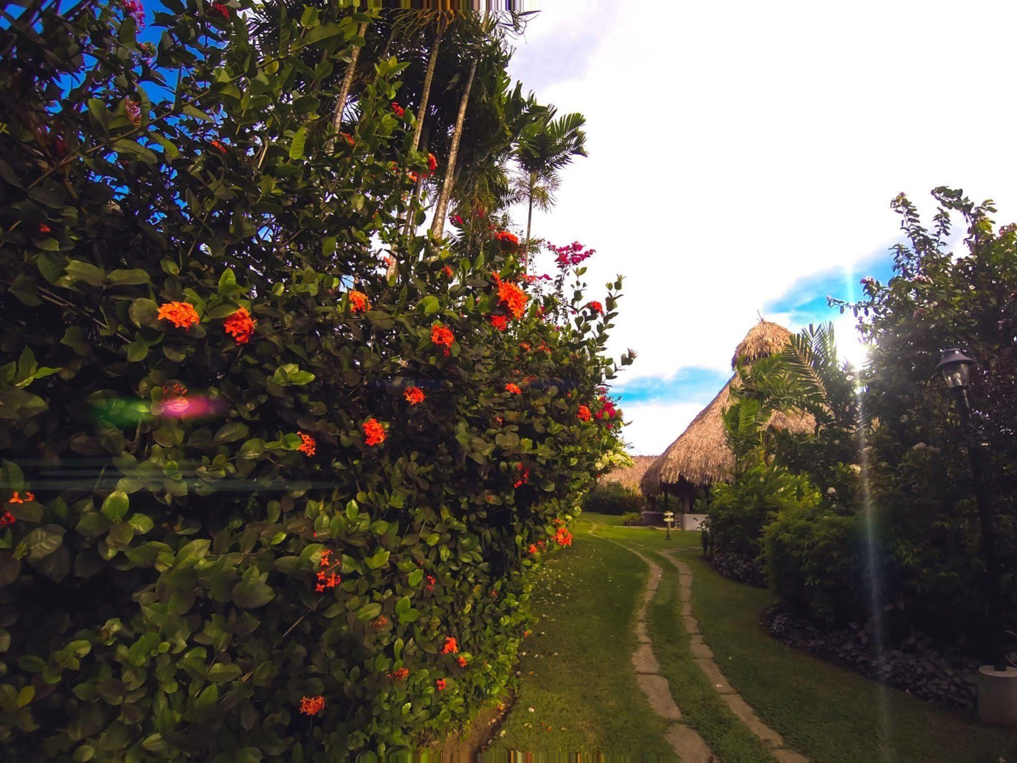 Kariwak Village Holistic Haven Crown Point Exteriér fotografie